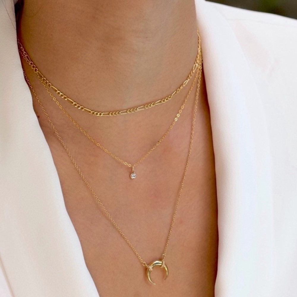 Luxe Horn Necklace